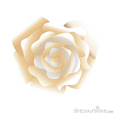 Beautiful cream flower decorative icon Vector Illustration