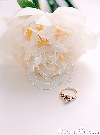 Beautiful creamy peony flower and golden engagement ring on white background Stock Photo