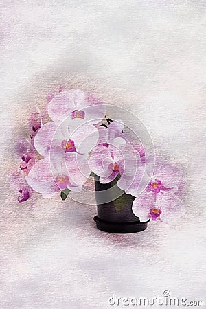 Artistic digital watercolour of pink orchids Stock Photo