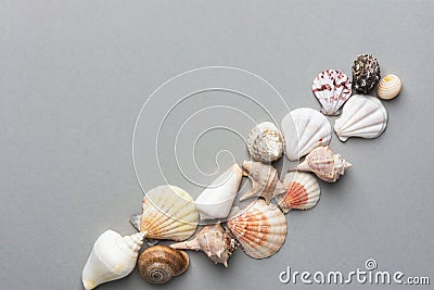 Beautiful creative nautical summer background. Diagonal flat lay composition from sea shells of different shapes colors on gray Stock Photo