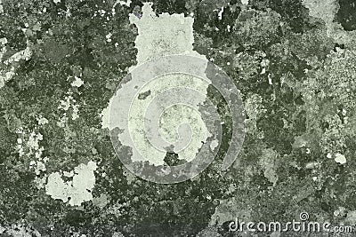 Vintage vintage lichen on stone texture - wonderful abstract photo background Stock Photo