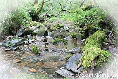 Beautiful Creek Coming To Life After Storm With White Frame Stock Photo