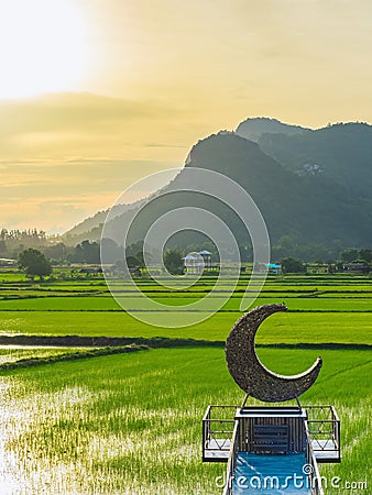 Beautiful crescent moon chair made of rattan for relaxation on bridge in paddy field with beautiful scenic in evening. Decorative Stock Photo