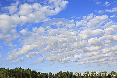 Beautiful cumulus cirrus clouds over forest Stock Photo