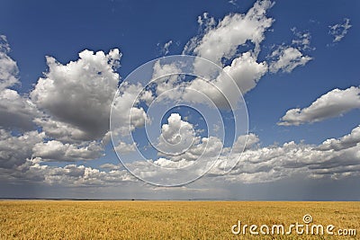 Beautiful cumulus clouds Stock Photo