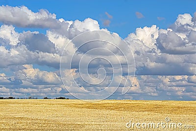 Beautiful cumulus clouds above a golden harvested field Stock Photo