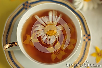 Beautiful cup of tea and floating yellow flowers on a yellow background with a bouquet of red peonies Stock Photo