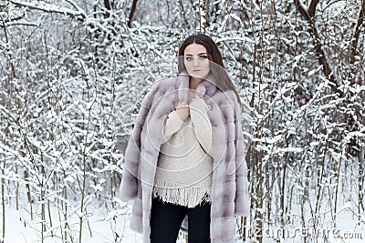 Beautiful cute elegant girl in a fur coat walks in the winter forest bright frosty morning Stock Photo