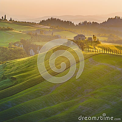 Beautiful cypress-lined road in the light of the sunset in Tuscany Stock Photo