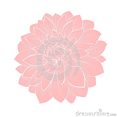 Beautiful dahlia flower isolated on white Vector Illustration