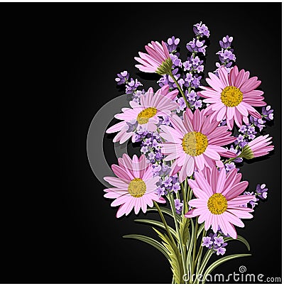 Beautiful daisies and lavender flowers Vector Illustration