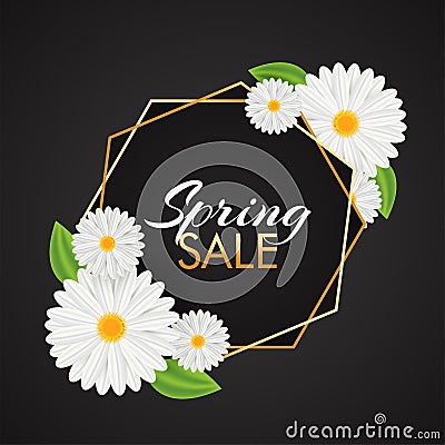 Beautiful daisy flowers decorated spring sale template design. Stock Photo