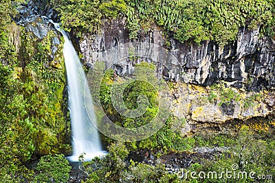 Beautiful Dawson Falls in Egmont National Park, New Zealand Stock Photo