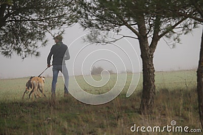 Beautiful day of hunting with dogs running behind the hare trying to pick it up Editorial Stock Photo