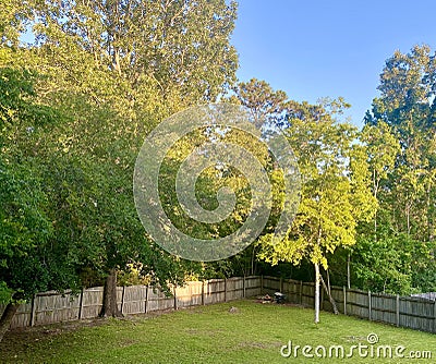 Beautiful peaceful afternoon at home outside Stock Photo