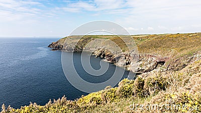 The beautiful green shorelines of Ireland during spring time Stock Photo