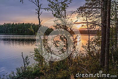 Beautiful decline on the wood lake. Sunset background. Stock Photo