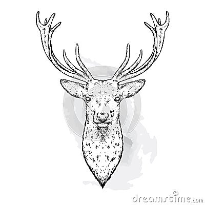 A beautiful deer. Vector illustration for a postcard or a poster, print for clothes. Fashion & Style. Vector Illustration