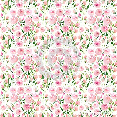 Beautiful delicate tender cute elegant lovely floral colorful spring summer pink and red roses with buds and leaves bouquet waterc Cartoon Illustration