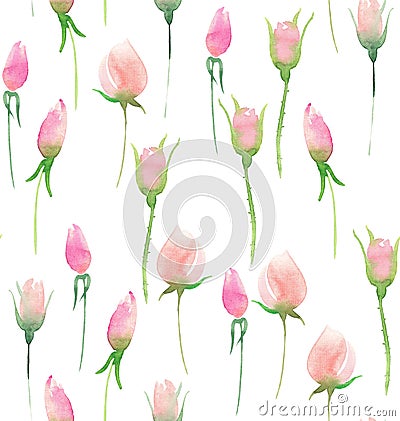 Beautiful delicate tender cute elegant lovely floral colorful spring summer pink and red roses with buds and leaves bouquet waterc Cartoon Illustration