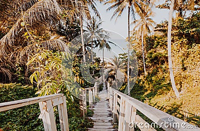 A beautiful descent wooden staircase through the jungle down to the beach. A beautiful view opens through palm trees to the ocean Stock Photo