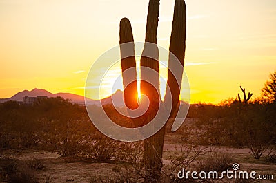 Beautiful desert sunset landscape Stock Photo