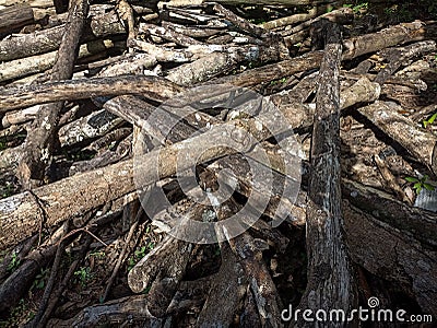 a beautiful, disorderly pile of wood Stock Photo