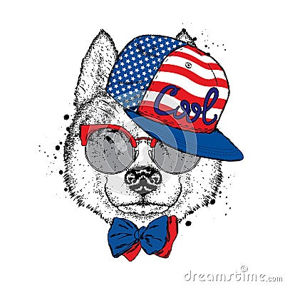 A beautiful dog in a cap, glasses and a tie. Vector illustration for a postcard or poster, print on clothes. Purebred puppy. Husky Vector Illustration