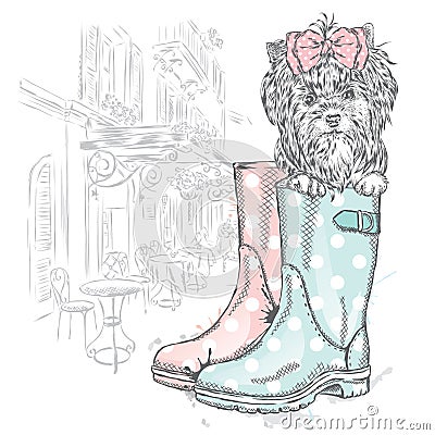 Beautiful dog in rubber boots. Yorkshire Terrier. Vector Illustration