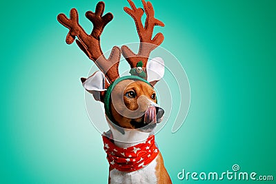 Beautiful dog wering christmas costumes Stock Photo