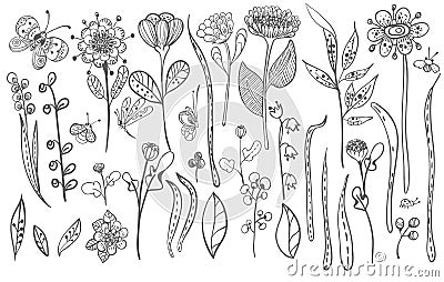 Beautiful doodle grass and flowers silhouette Vector Illustration