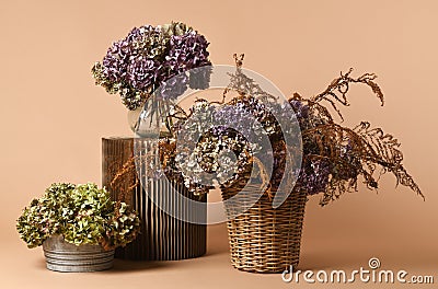 Beautiful dried bouquets Stock Photo
