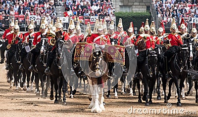 Beautiful drum horse with Household Cavalry behind, taking part in the Trooping the Colour ceremony, London UK Editorial Stock Photo