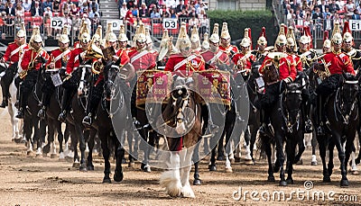 Beautiful drum horse with Household Cavalry behind, taking part in the Trooping the Colour ceremony, London UK Editorial Stock Photo