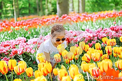 Beauriful dutch girl smelling tulip flower on tulip fields. Child in tulip flower field in Holland. Kid in magical Netherlands Stock Photo