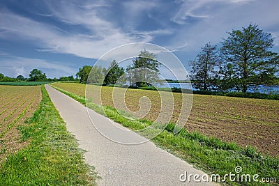 Beautiful dutch rural landscape, maas riverside cycling path, agriculture fields, trees, blue spring sky - Limburg, Netherlands Stock Photo