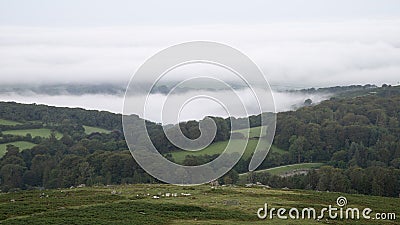 Beautiful early morning cloud inversion over Dartmoor National Park in England with thick cloud in valley of forest Stock Photo