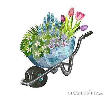 Beautiful early spring garden flowers bouquet in a wheelbarrow Cartoon Illustration