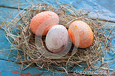 Beautiful Easter multi color egg in straw on wooden background, Easter day concept Stock Photo