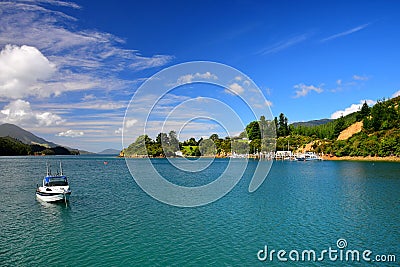 Beautiful New Zealand landscape. Elaine Bay, Marlborough Sounds, South Island Editorial Stock Photo