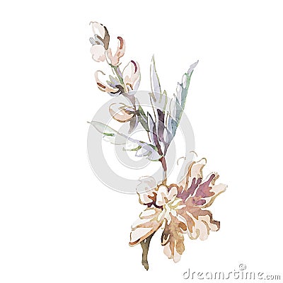 Beautiful elegant watercolor flowers, bouquets and leaves Stock Photo