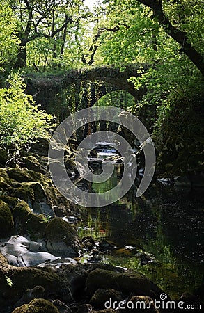 Over grown Faerie bridges spanning a deep gorge to a river Stock Photo