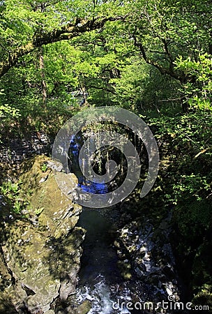 Over grown Faerie Footbridge spanning a deep gorge to a river Stock Photo