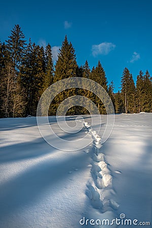 A beautiful end to the day in the mountains. Winter scenery, mysterious footprints in the snow Stock Photo