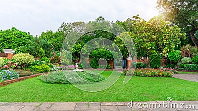 Beautiful English cottage garden, colorful flowering plant on smooth green grass lawn in good care backyard Stock Photo