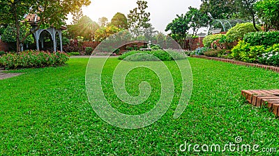 Beautiful English cottage garden, colorful flowering plant bloomming on smooth green grass lawn and group of evergreen trees Stock Photo