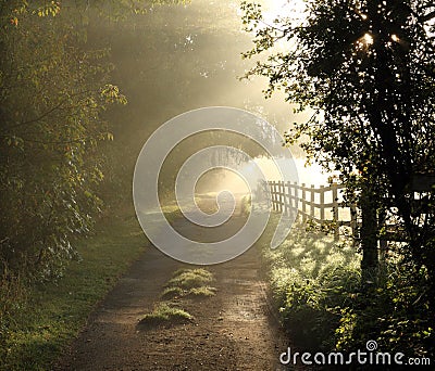 Beautiful English Country Lane Stock Photo