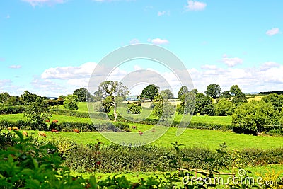 beautiful English countryside landscape in summer near Ludlow in England Stock Photo