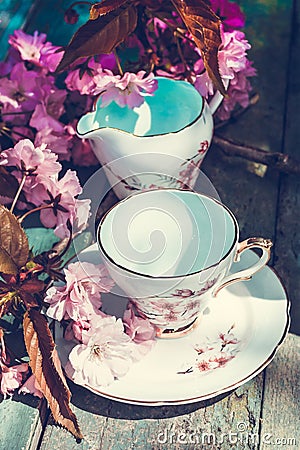 Beautiful, English, vintage teacup with Japanese cherry tree blossoms Stock Photo