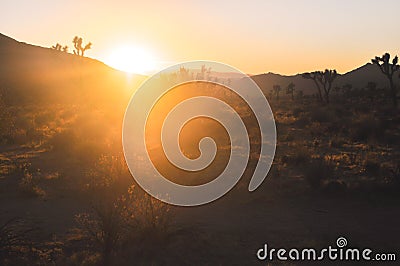 Beautiful epic sunset in amazing desert nature of Joshua Tree Na Stock Photo